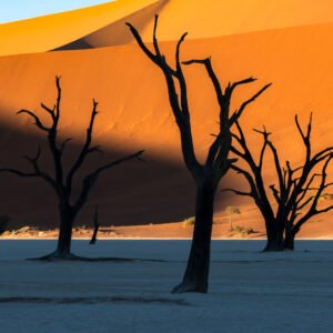 Discover the Stunning Landscapes That Make Namibia Unforgettable