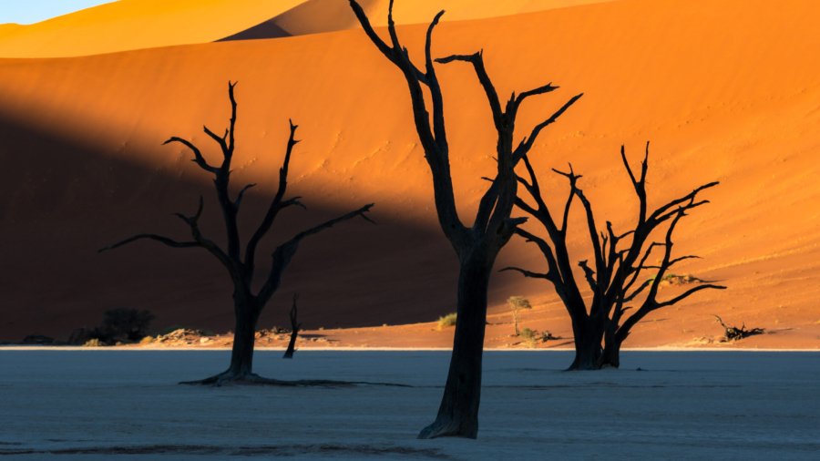 Stunning Landscapes That Make Namibia Unforgettable
