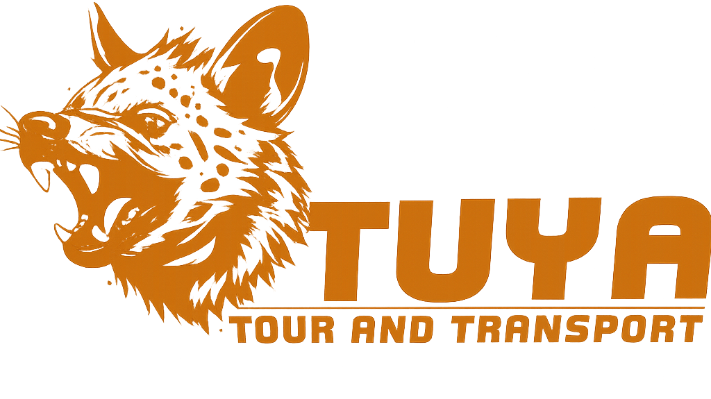 Tuya Tour Logo