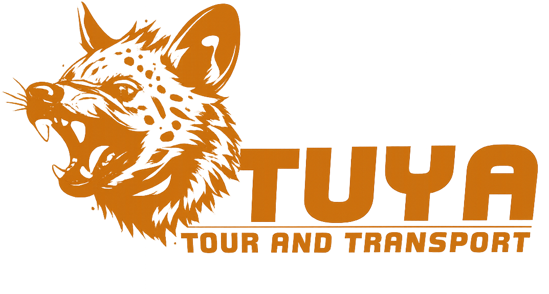 Tuya Tour Logo